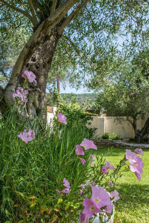 Corfu Villa Linea Линя Экстерьер фото