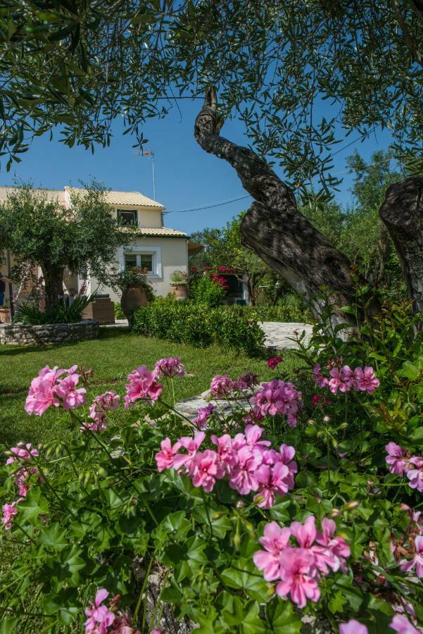 Corfu Villa Linea Линя Экстерьер фото