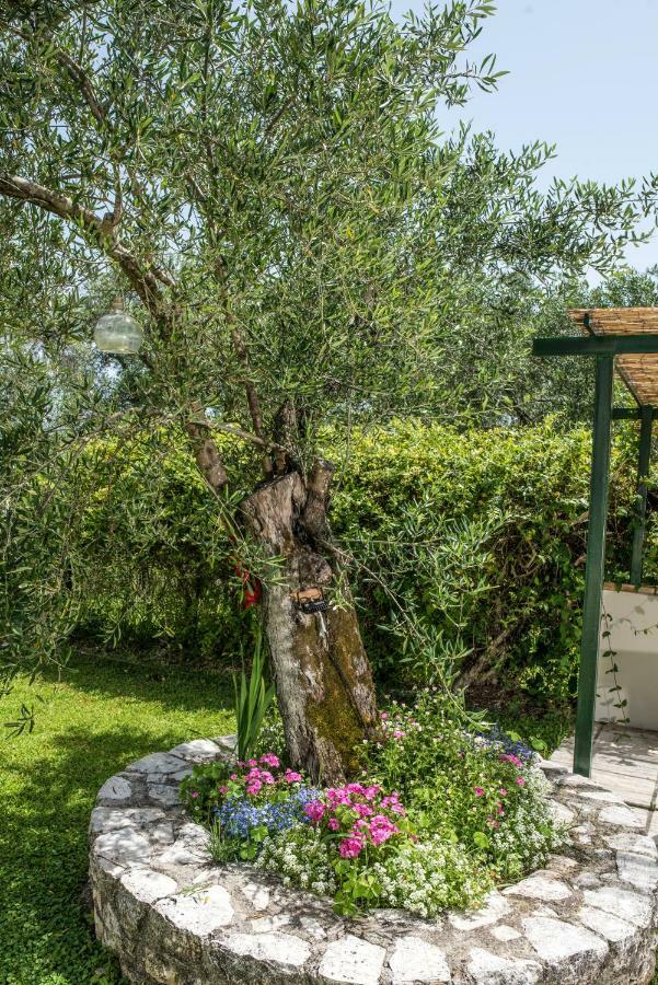 Corfu Villa Linea Линя Экстерьер фото